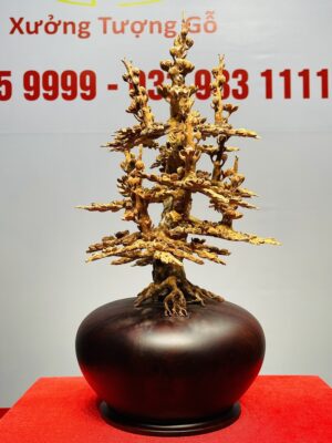 Bình Mai Hoàng Đàn Tuyết Lạng Sơn
