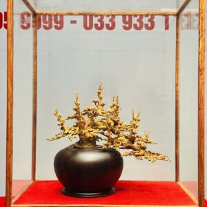 Bình Mai Gỗ Hoàng Đàn Tuyết Lạng Sơn