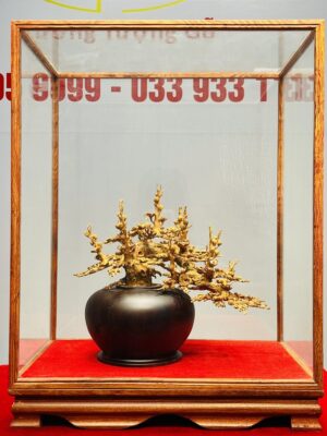 Bình Mai Gỗ Hoàng Đàn Tuyết Lạng Sơn