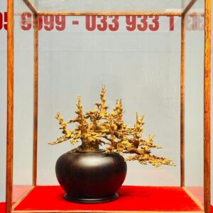 Bình Mai Gỗ Hoàng Đàn Tuyết Lạng Sơn