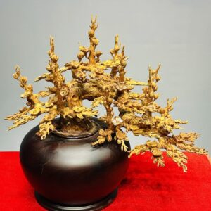 Bình Mai Gỗ Hoàng Đàn Tuyết Lạng Sơn