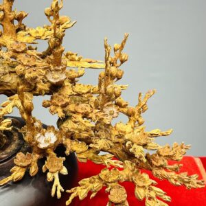 Bình Mai Gỗ Hoàng Đàn Tuyết Lạng Sơn