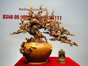 Bình Hoa Mai Gỗ Hương