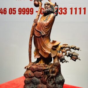 Đạt Ma Sư Tổ Cây Tùng