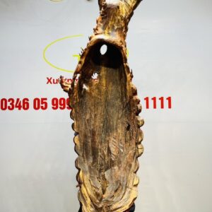 Nhất Long Gỗ Nu Cẩm