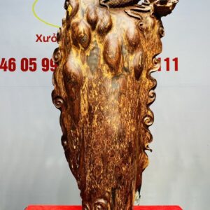 Nhất Long Gỗ Nu Cẩm