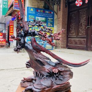 Cây Mai Đôi Chim Trĩ Gỗ Trắc