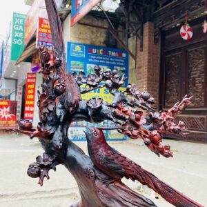 Cây Mai Đôi Chim Trĩ Gỗ Trắc
