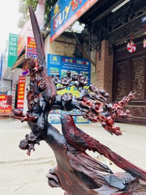 Cây Mai Đôi Chim Trĩ Gỗ Trắc