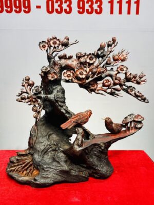 Cây Mai Chim Sẻ Gỗ Trắc