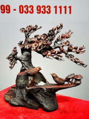 Cây Mai Chim Sẻ Gỗ Trắc