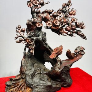 Cây Mai Chim Sẻ Gỗ Trắc