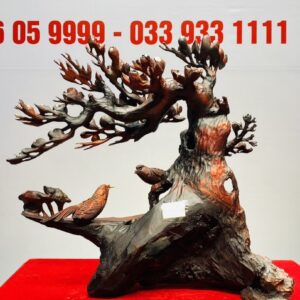Cây Mai Chim Sẻ Gỗ Trắc