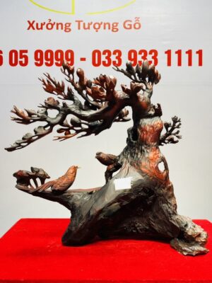 Cây Mai Chim Sẻ Gỗ Trắc