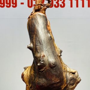 Đạt Ma Gỗ Chun Sụn Cẩm
