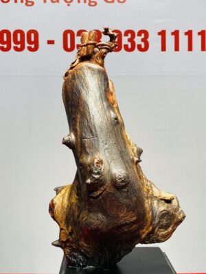 Đạt Ma Gỗ Chun Sụn Cẩm