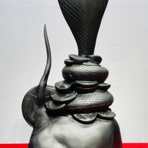 Rắn Gỗ Mun Sừng Khánh Hoà