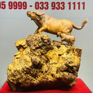 Trâu Phụ Tử Gỗ Nu Ngọc Am