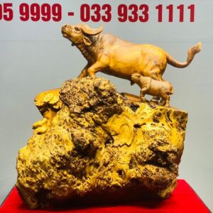Trâu Phụ Tử Gỗ Nu Ngọc Am