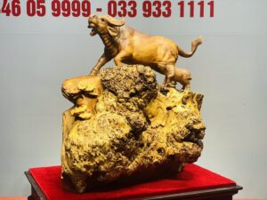 Trâu Phụ Tử Gỗ Nu Ngọc Am