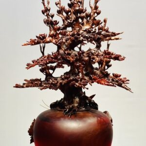Bình Mai Gỗ Tử Đàn
