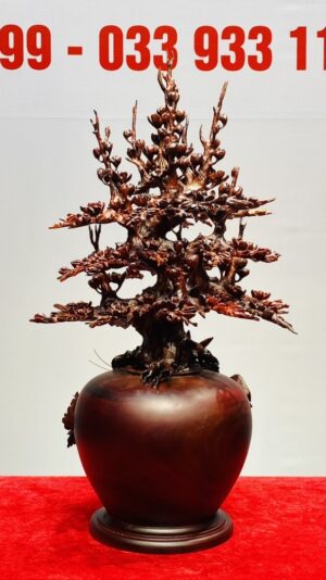 Bình Mai Gỗ Tử Đàn