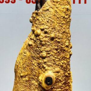 Đạt Ma Sư Tổ Gỗ Chiu Liu