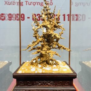 Cây Mai Gỗ Hoàng Đàn Tuyết Lạng Sơn kết hợp với Ngà Voi