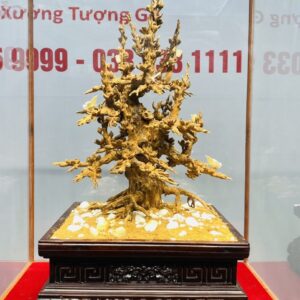 Cây Mai Gỗ Hoàng Đàn Tuyết Lạng Sơn kết hợp với Ngà Voi