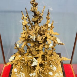 Cây Mai Gỗ Hoàng Đàn Tuyết Lạng Sơn kết hợp với Ngà Voi