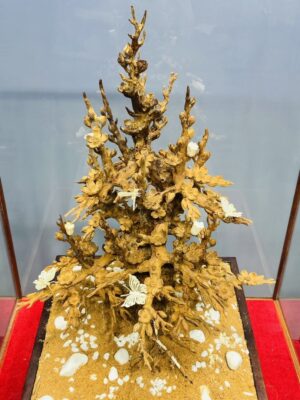 Cây Mai Gỗ Hoàng Đàn Tuyết Lạng Sơn kết hợp với Ngà Voi