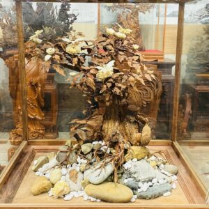 Bonsai Gỗ Sưa