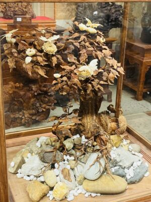 Bonsai Gỗ Sưa