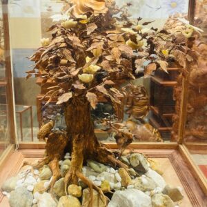 Bonsai Gỗ Sưa