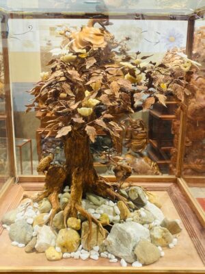 Bonsai Gỗ Sưa