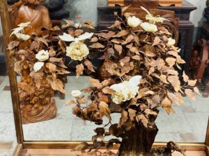 Bonsai Gỗ Sưa