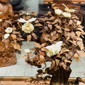 Bonsai Gỗ Sưa