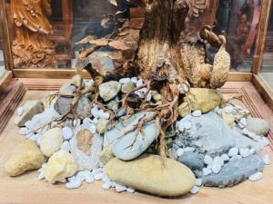 Bonsai Gỗ Sưa