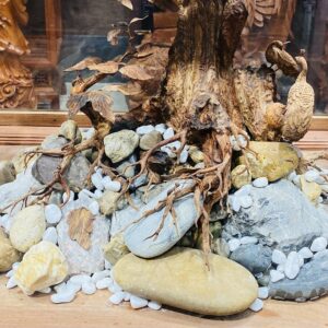 Bonsai Gỗ Sưa