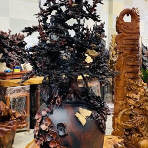 Bình Mai Gỗ Trắc