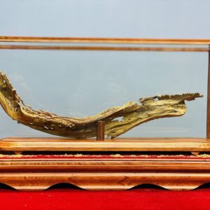 Bách Điểu Trầu Hoàng Gỗ Hoàng Đàn