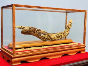 Bách Điểu Trầu Hoàng Gỗ Hoàng Đàn