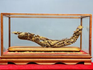 Bách Điểu Trầu Hoàng Gỗ Hoàng Đàn