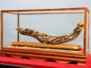 Bách Điểu Trầu Hoàng Gỗ Hoàng Đàn