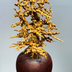 Bình Hoa Mai Hoàng Đàn - Tử Đàn