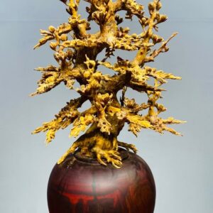 Bình Hoa Mai Hoàng Đàn - Tử Đàn