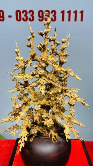 Bình Hoa Mai Hoàng Đàn - Tử Đàn