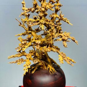 Bình Hoa Mai Hoàng Đàn - Tử Đàn