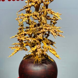 Bình Hoa Mai Hoàng Đàn - Tử Đàn