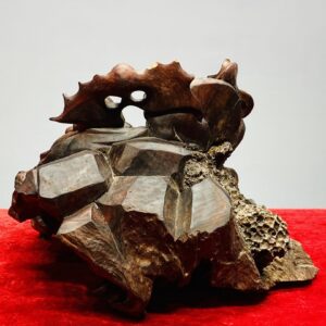 Di Lạc Gỗ Nu Trắc